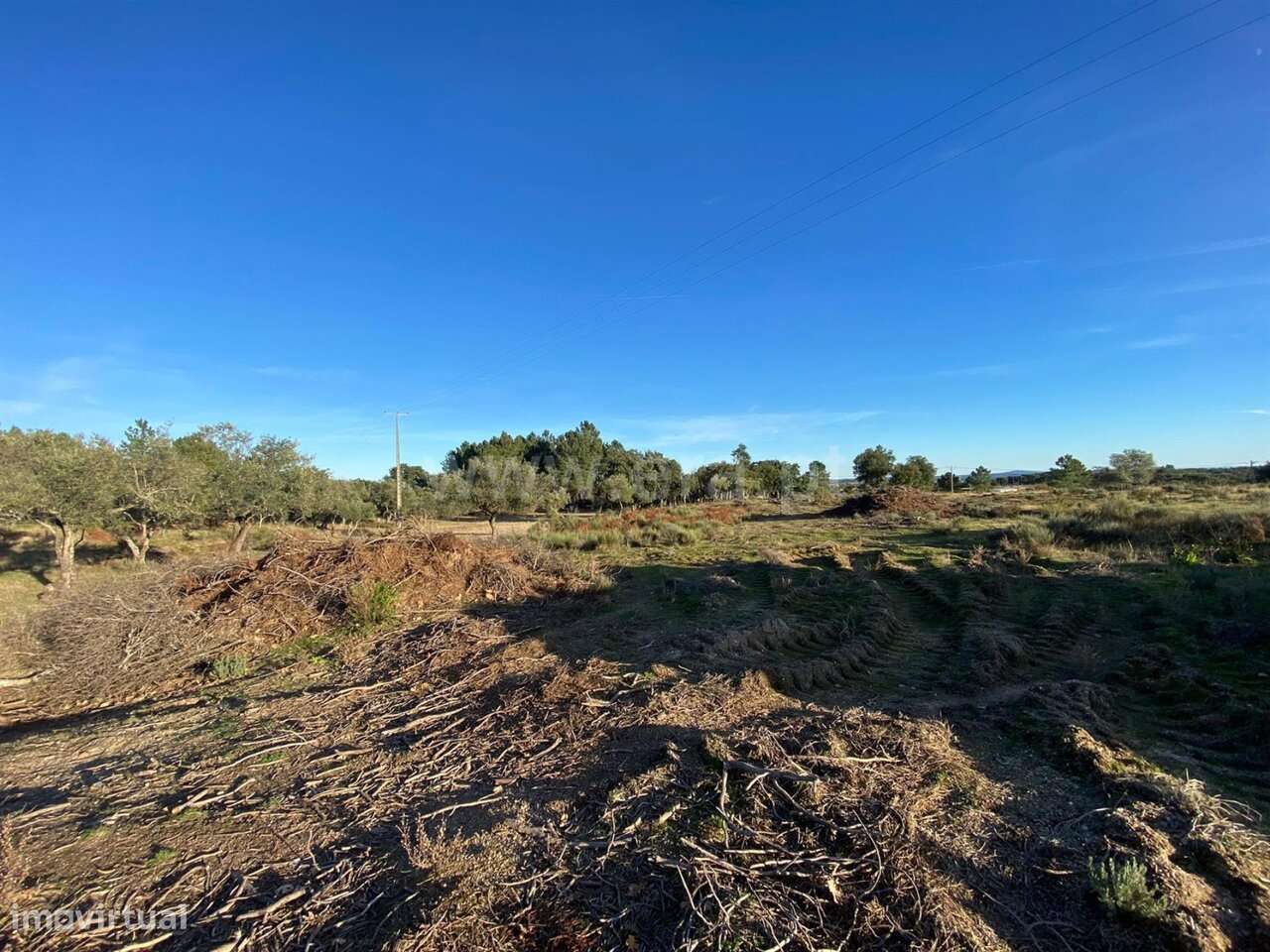 Quintinha T1 / Fundão, Vale de Prazeres e Mata da Rainha - Grande imagem: 4/12