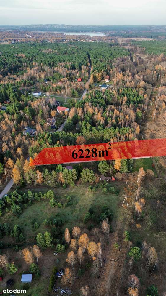 DZIAŁKA BUDOWLANA+LAS |6228 m² | MEDIA W DRODZE | ZALEW PORAJSKI - 3km - Pełny obrazek: 5/14