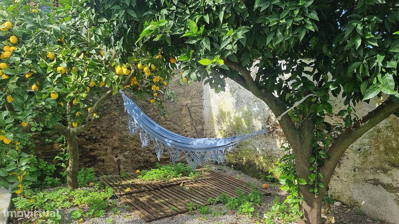 Moradia T1 para venda - Grande imagem: 3/34