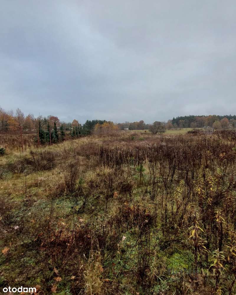 Działka Budowlano - Rolna Blisko Puszczy - Mpzp - Pełny obrazek: 4/7