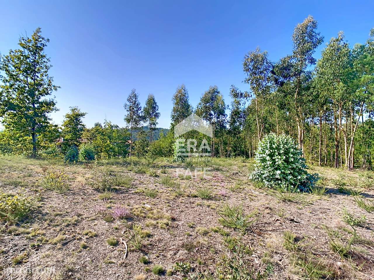 Terreno para construção em Regadas - Grande imagem: 4/13