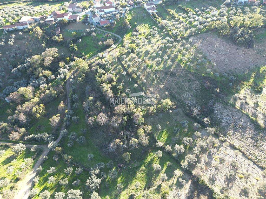 Terreno Grijó de Parada - Grande imagem: 2/6