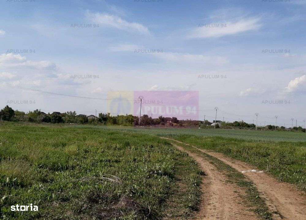 Teren aproape de Bucuresti langa padure între case - Imagine principală: 5/20