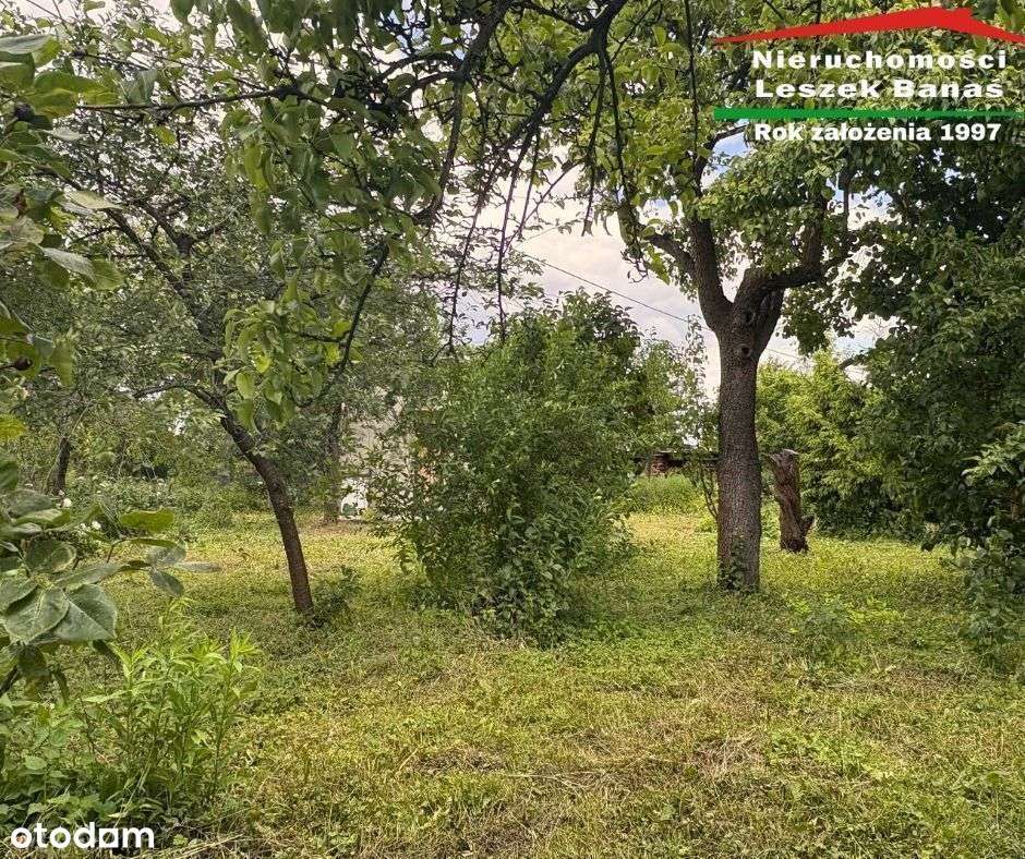 Działka Rod im. T. Kościuszki - Pełny obrazek: 4/4
