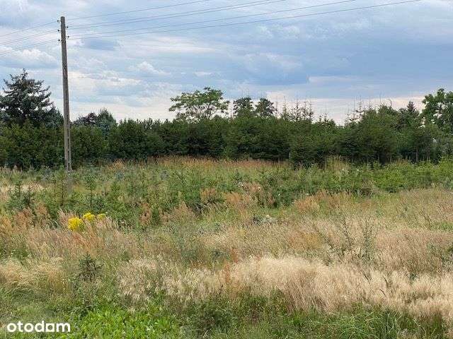 Długa Goślina, działka 4009 m2. - Pełny obrazek: 4/7