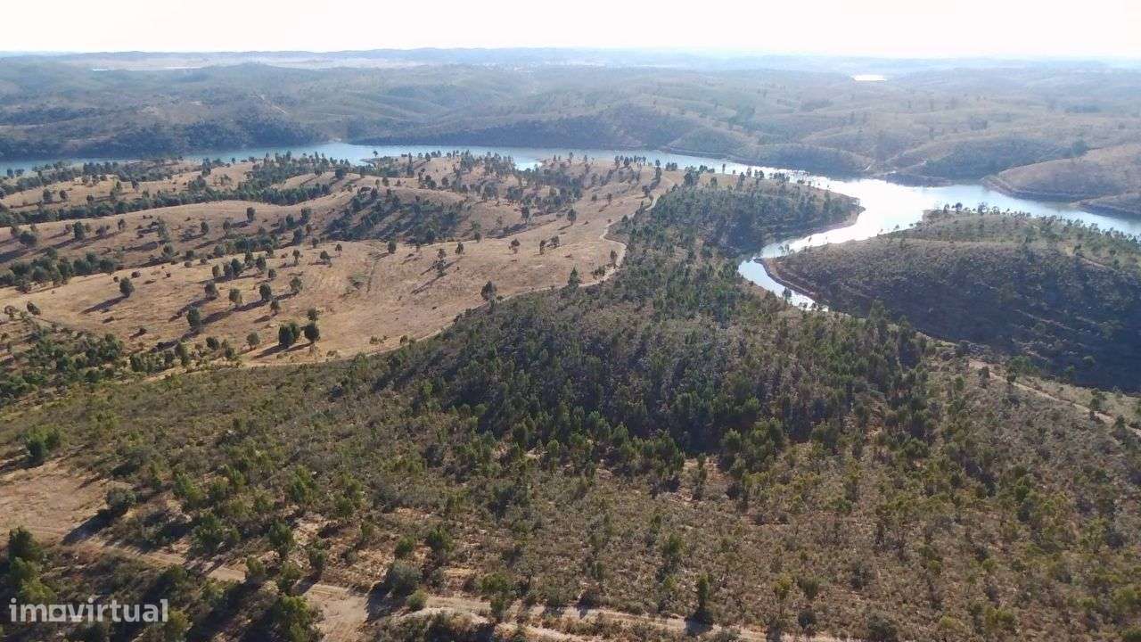 Alqueva - 3 Herdades confinantes 783 ha-6