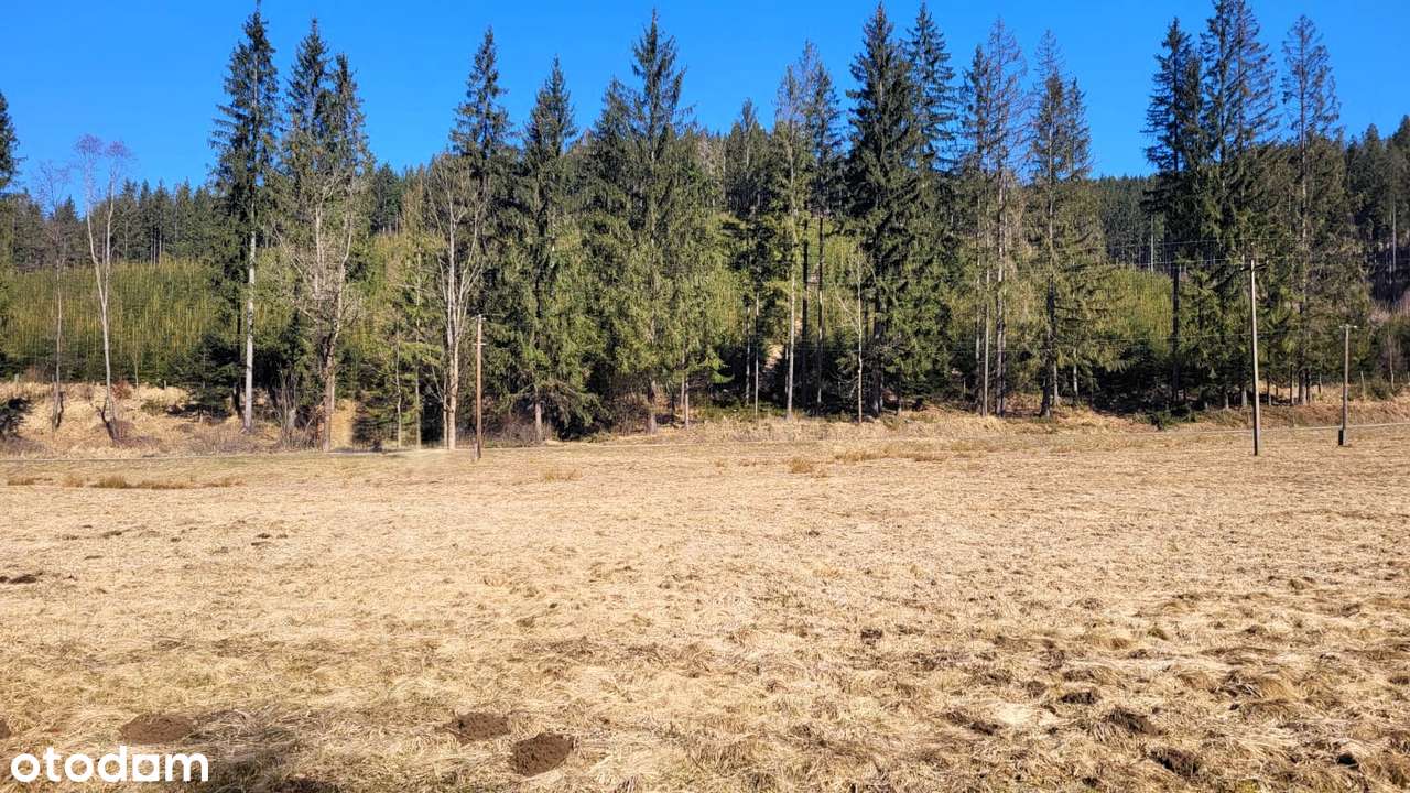 Działka budowlana, 6000 m2, Jaworzynka - Pełny obrazek: 2/13