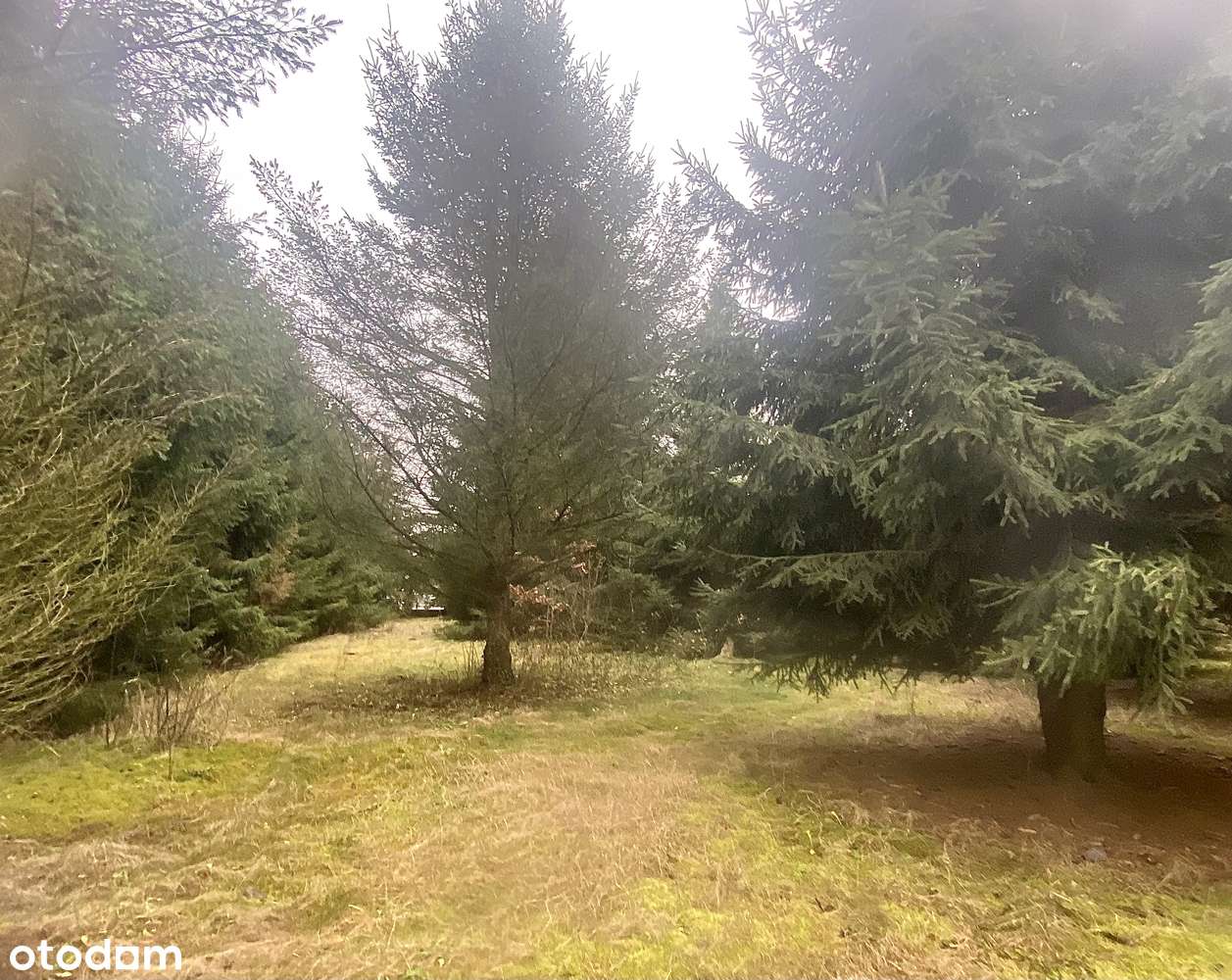 Działka z domem/ węzeł Tarczyn /-5