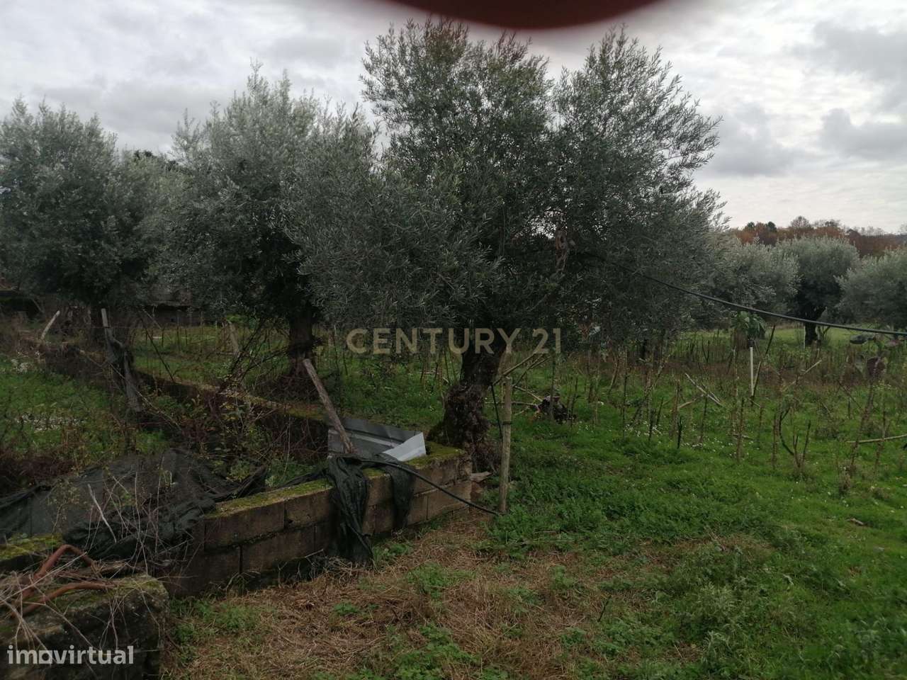 Terreno Rústico no Fundão - Grande imagem: 5/6