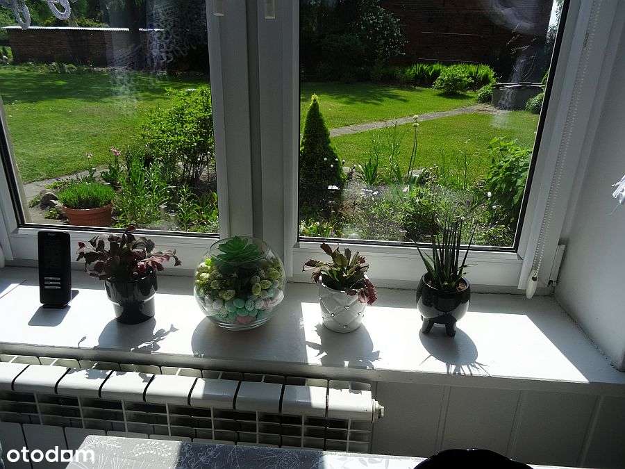 Trzebnica , 100m2 , 3 pokoje , 1 łazi, GARAŻ OGRÓD-9