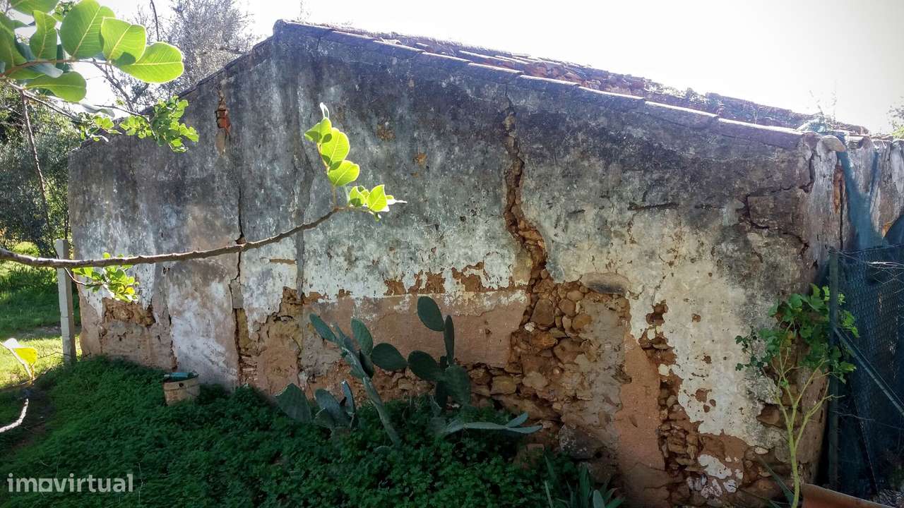 Terreno com Ruína em Moncarapacho - Grande imagem: 4/12