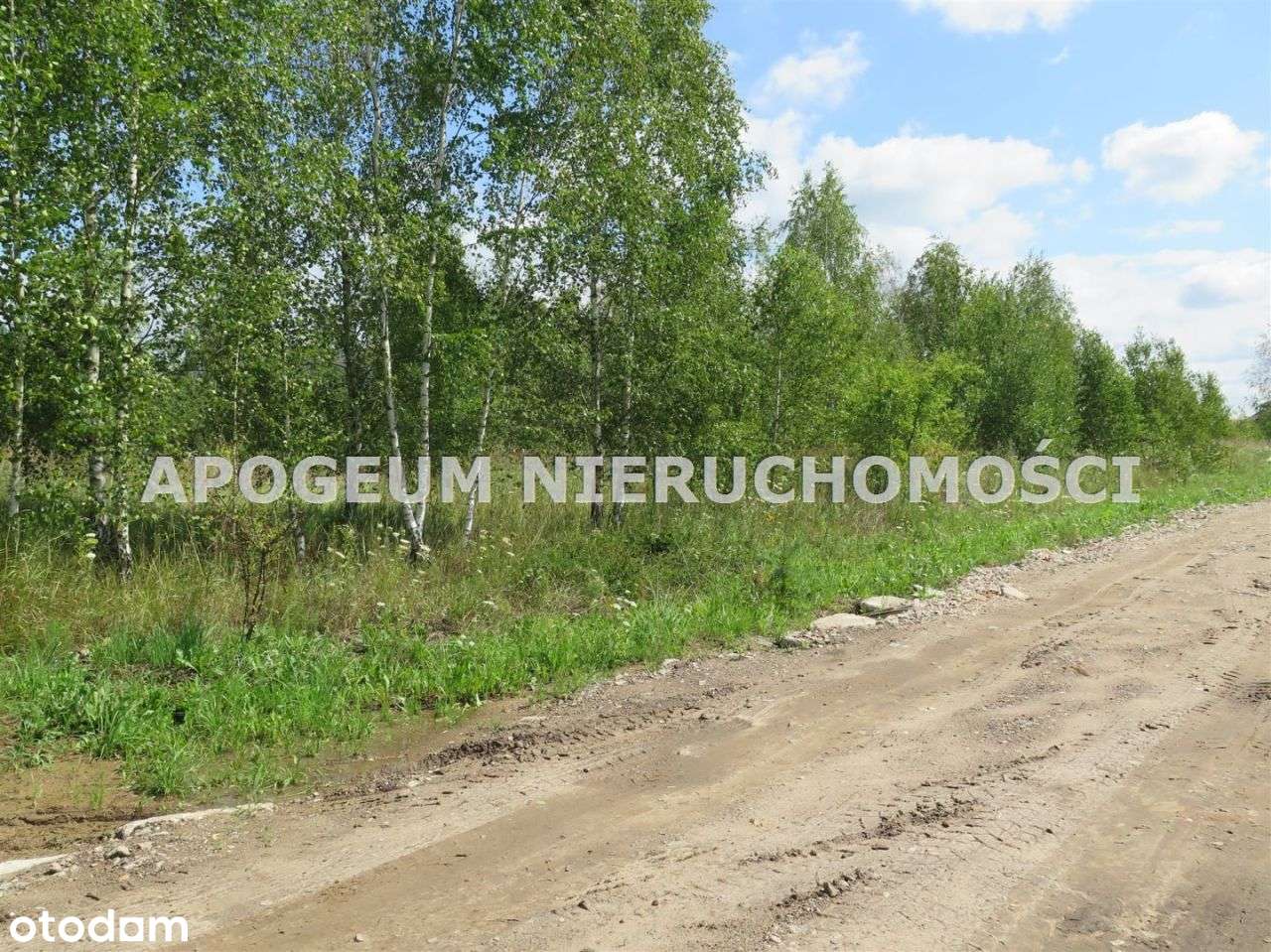 Działka budowlana w Kurianach - z mpzp-9