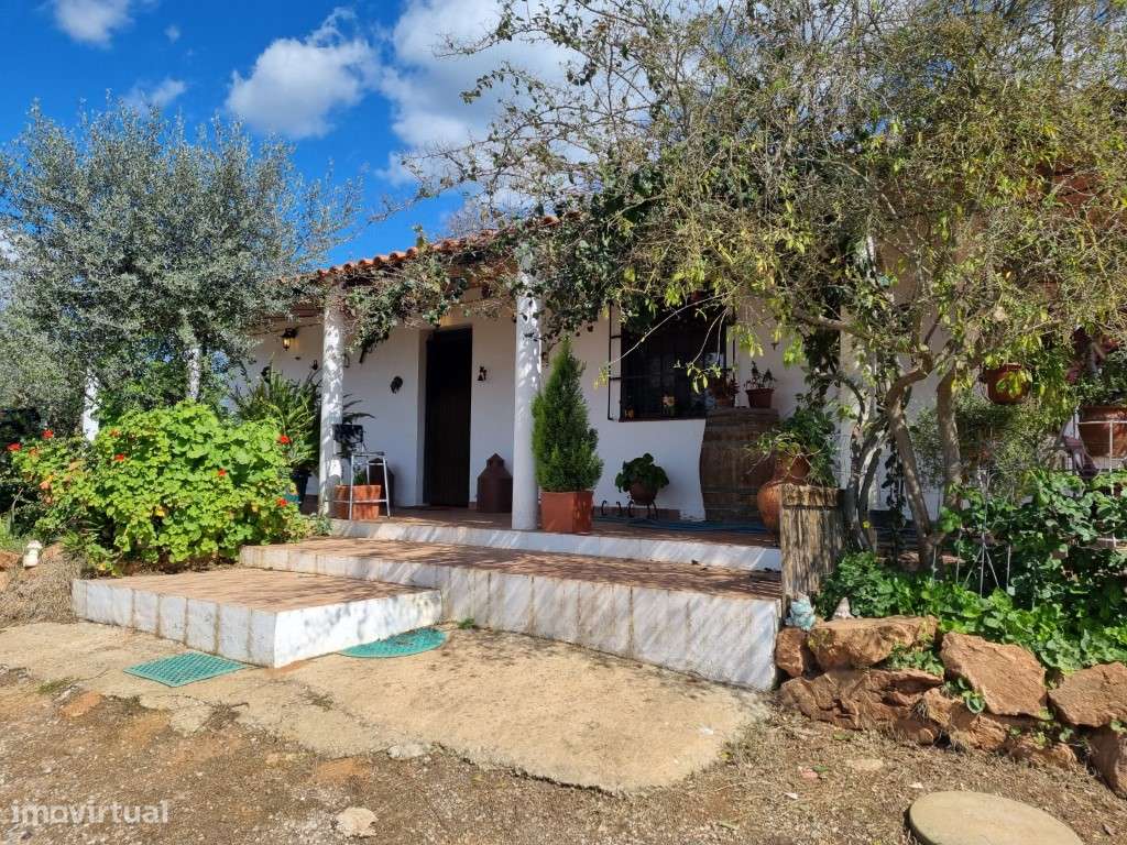 Quintinha T1 com 10.000 m2 em Moura - Grande imagem: 4/40