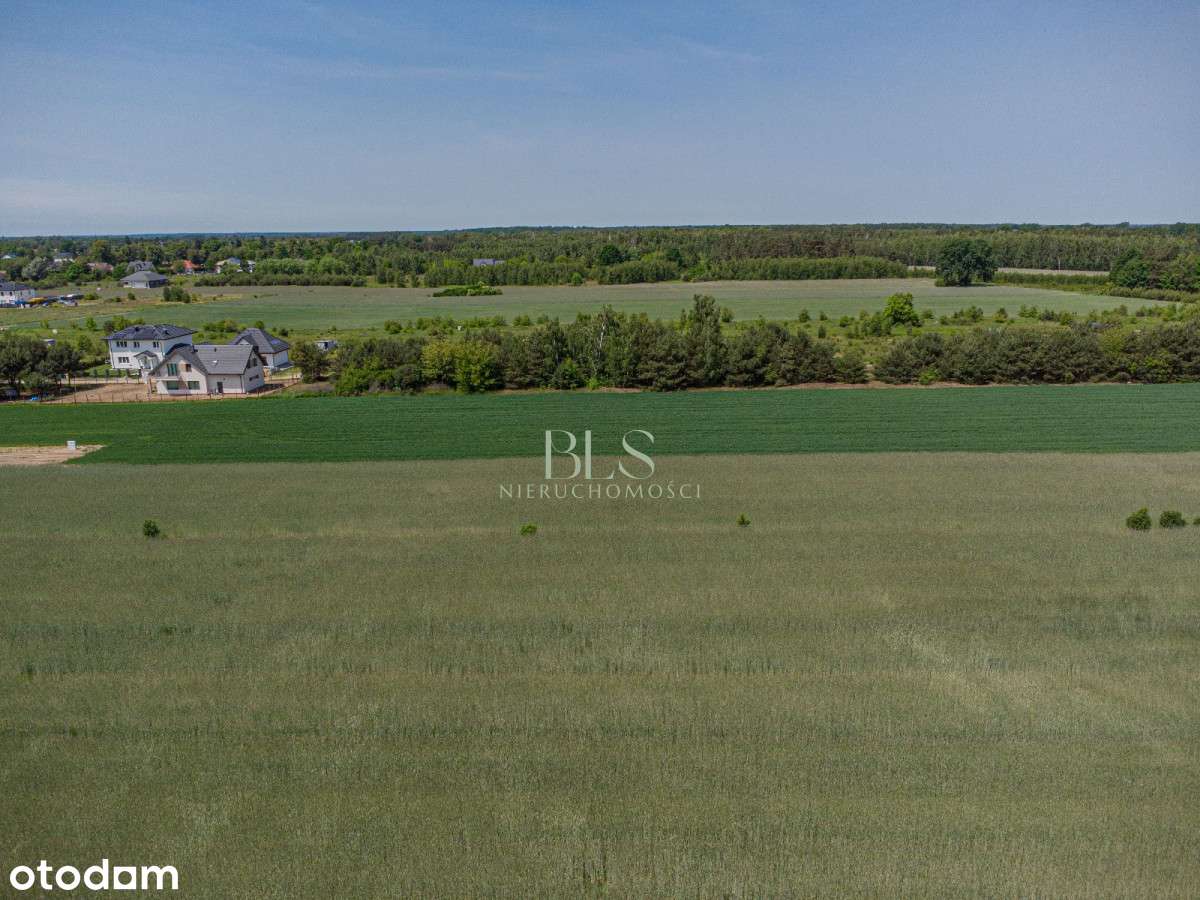 Zabudowa jednorodzinna - Pełny obrazek: 5/7