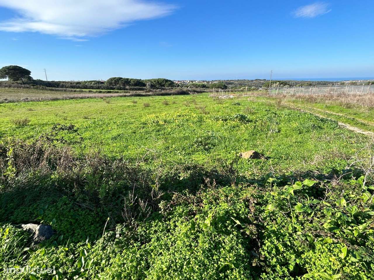 Terreno Rústico  Arrendamento em São João das Lampas e Terrugem,Sintra - Grande imagem: 2/9