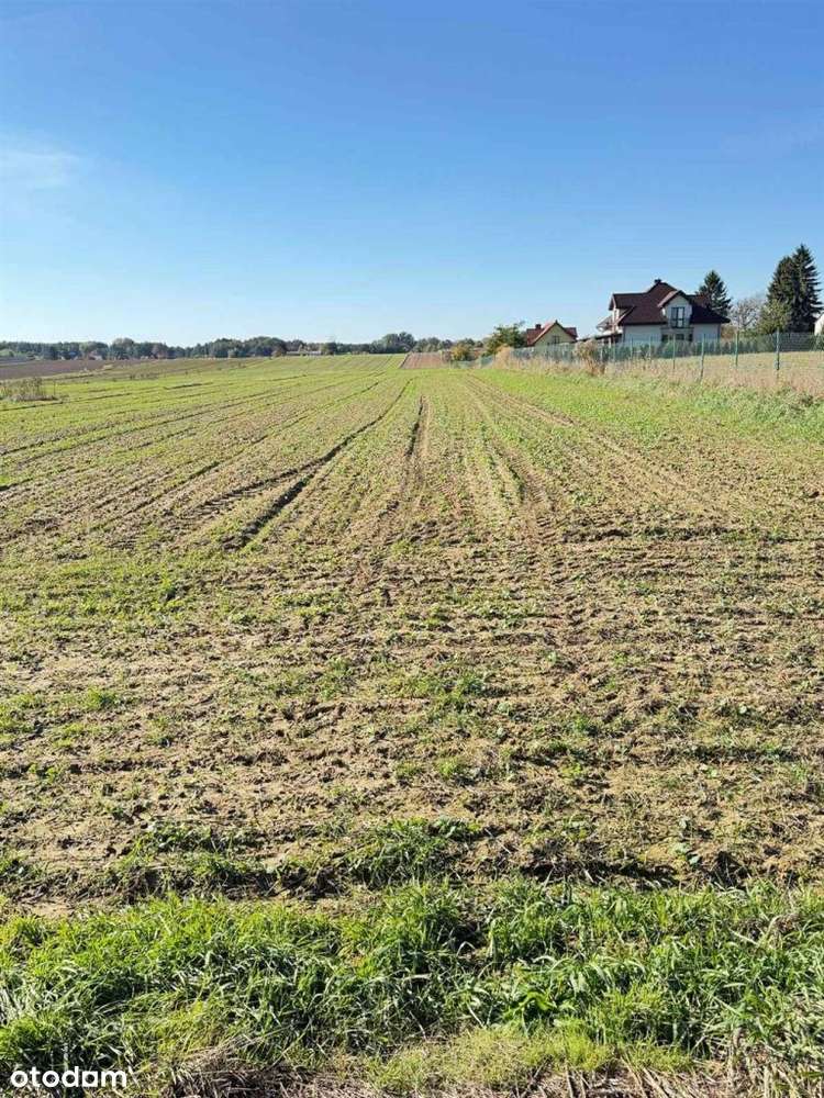 Duża działka spokojna okolica - Pełny obrazek: 4/8