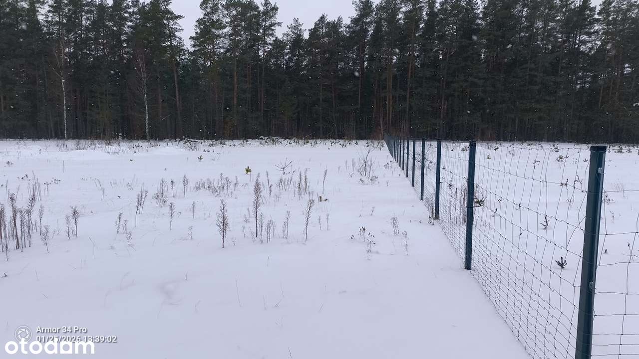 Działka we wsi Piaski z Pozwoleniem na budowę Puszcza Białowieska-5