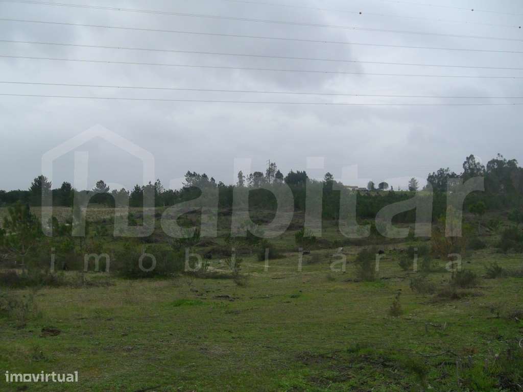 Terreno com 16380 m2 - Grande imagem: 2/6