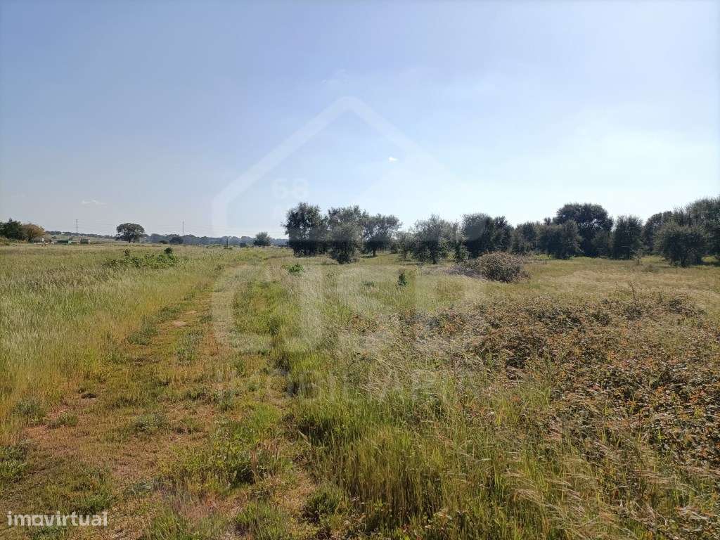 Terreno Foros da Charneca-5