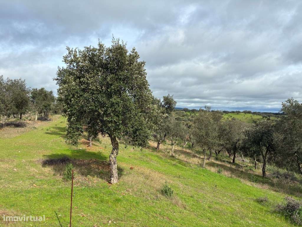 Quinta T2 em Serpa | Vista para a barragem-32