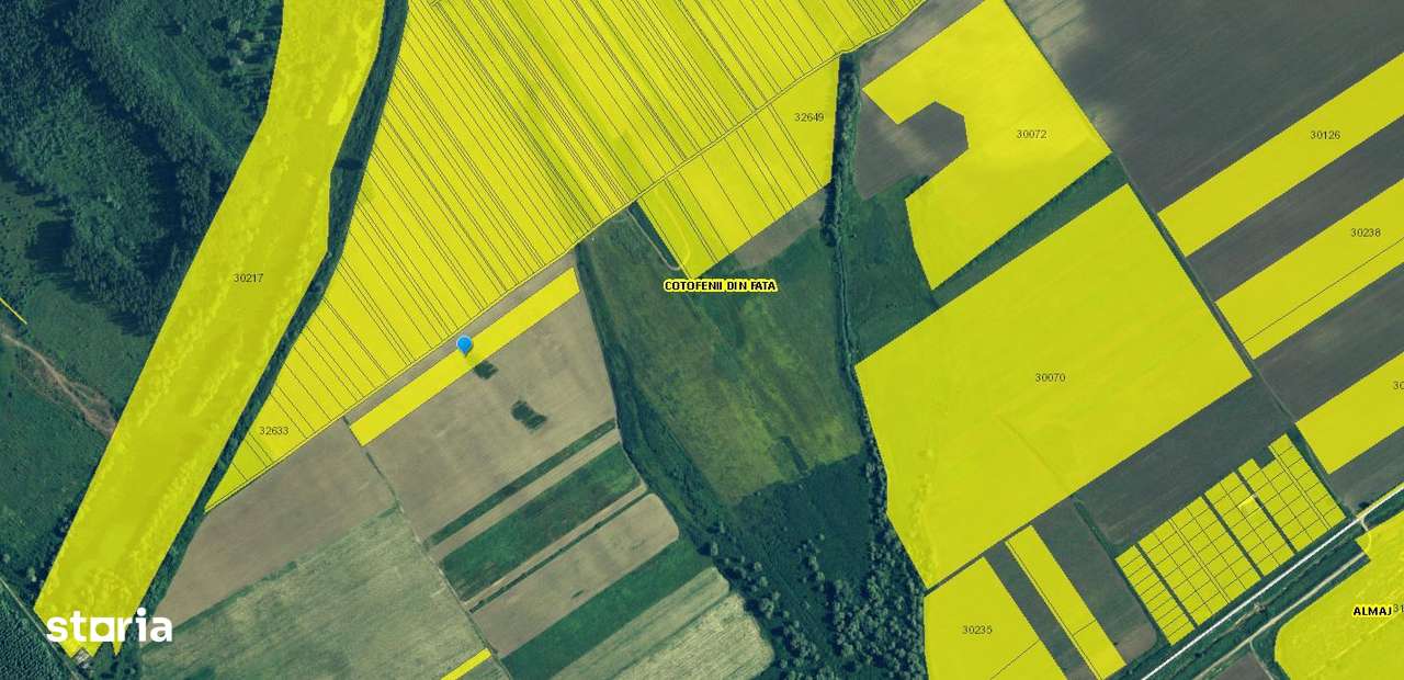 Teren extravilan Cotofanii din Fata 12,500 mp, Dolj - 3001407 - Imagine principală: 1/4