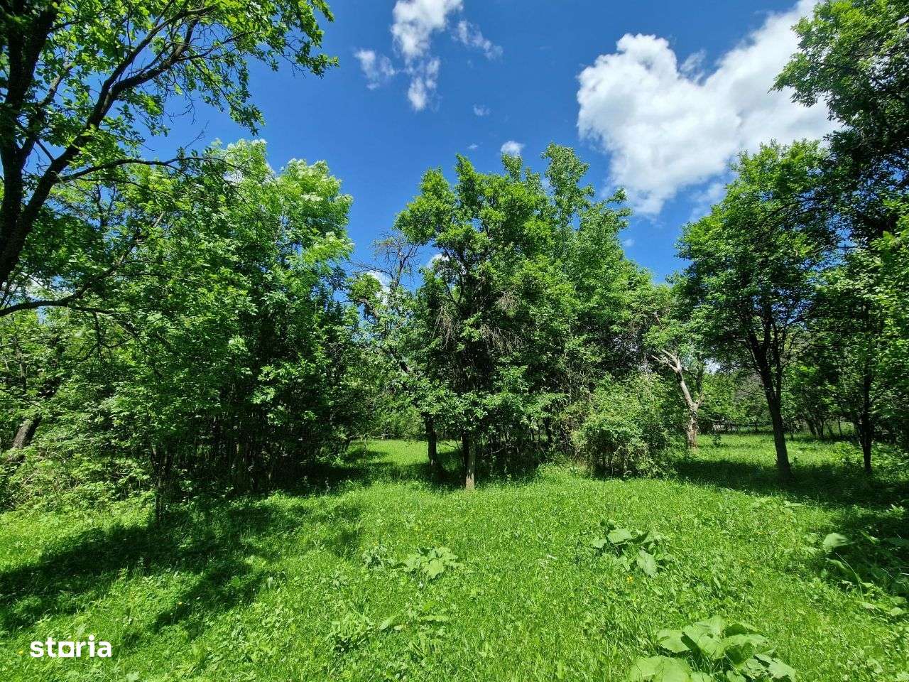 Teren intravilan Comarnic cartier Podul lung langa padure-9