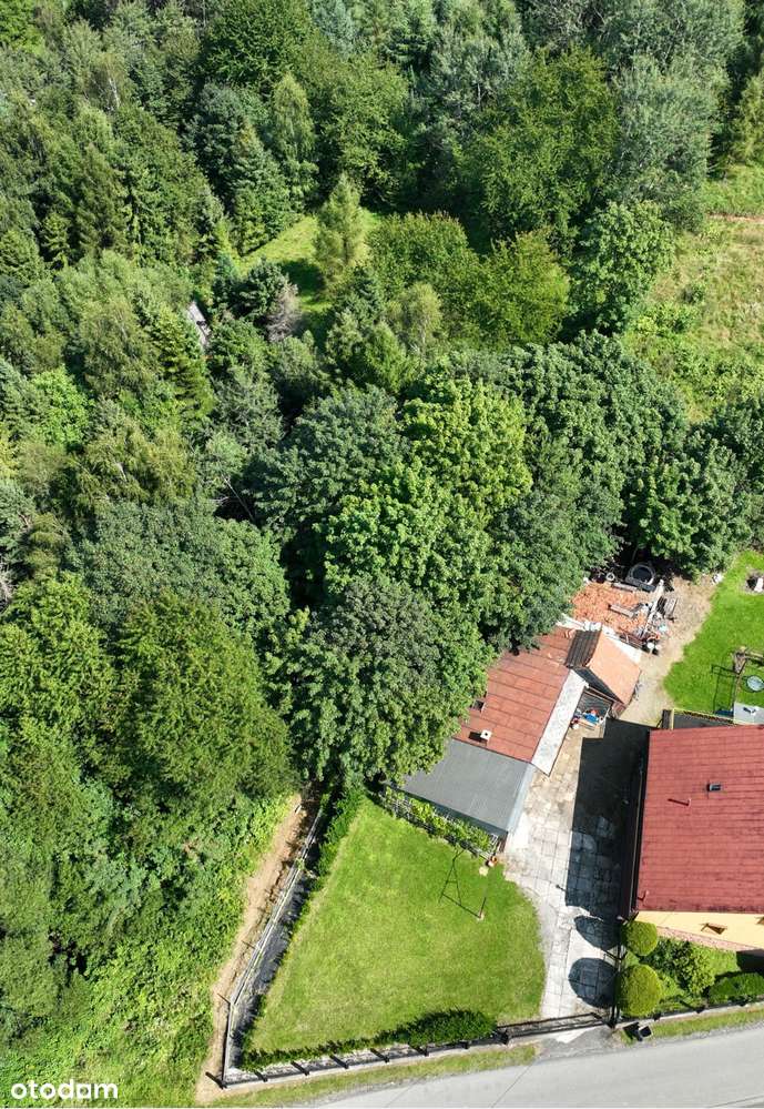 Na sprzedaż działka 66,68 a z zabudowaniami – Świnna, ul. Komarnik-5