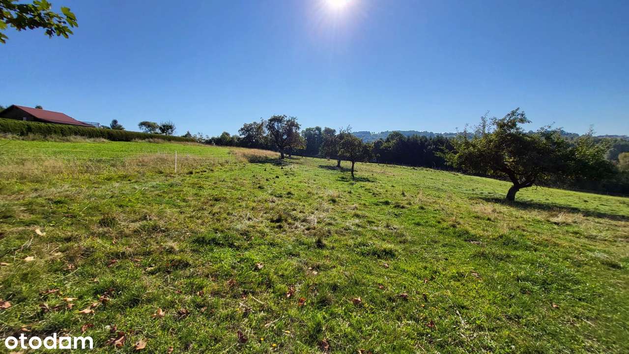 Działka budowlana, 2400m2, Istebna - Pełny obrazek: 5/14