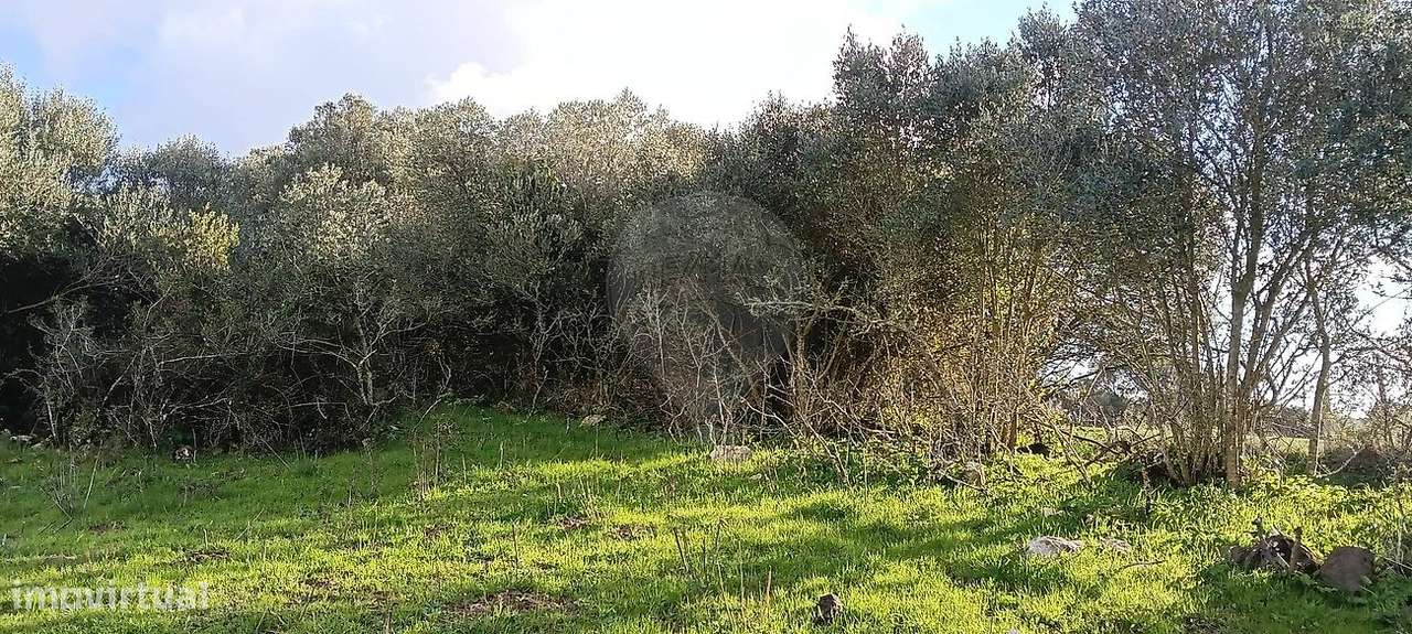 Terreno  para venda - Grande imagem: 5/13