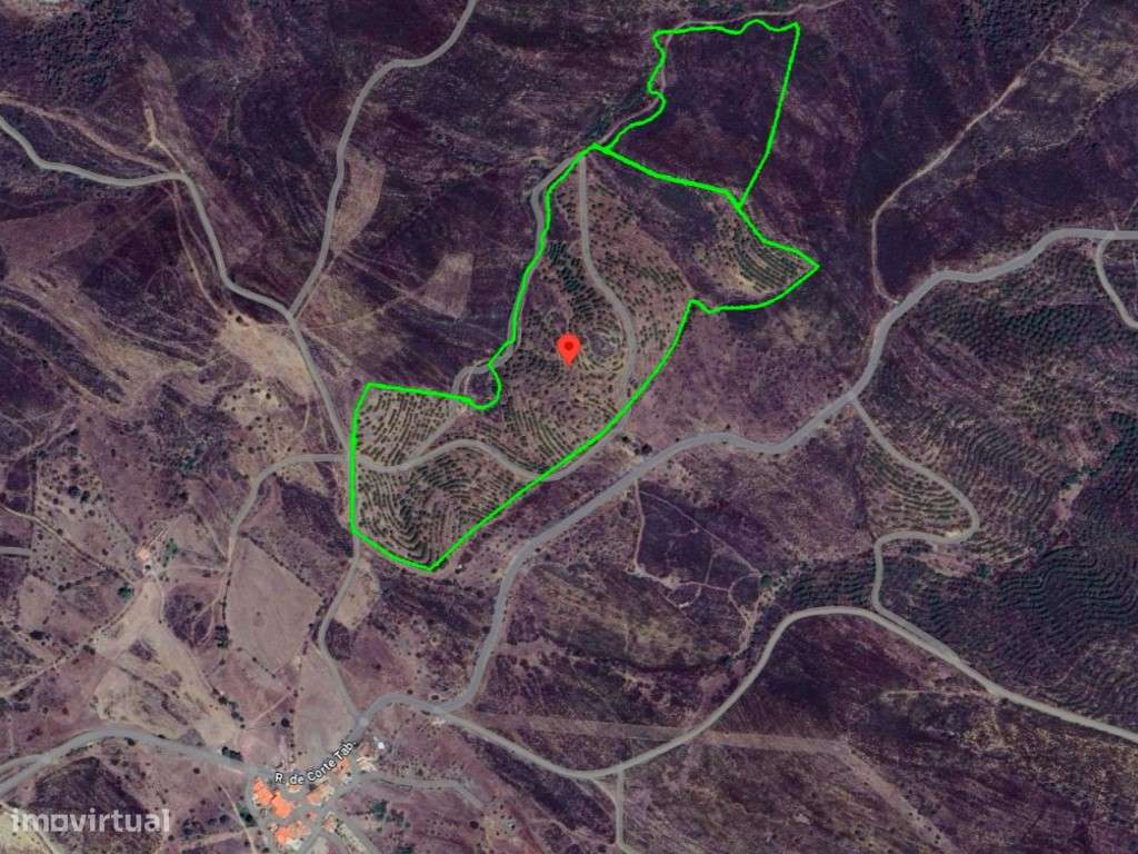 Terreno rústico com viabilidade construtiva - Alcoutim - Grande imagem: 3/27