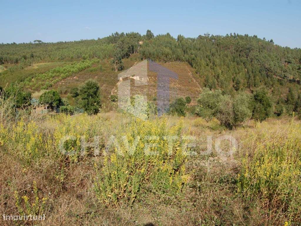 Terreno com viabilidade de construção, perto da Albufeira de Castel... - Grande imagem: 4/8