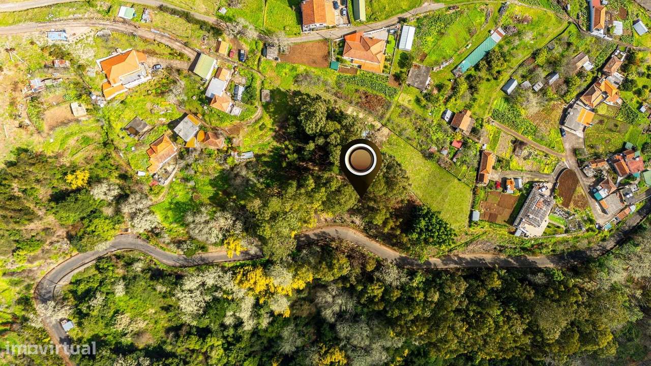 Terreno localizado na Camacha, com área total de 1.430 m2-1