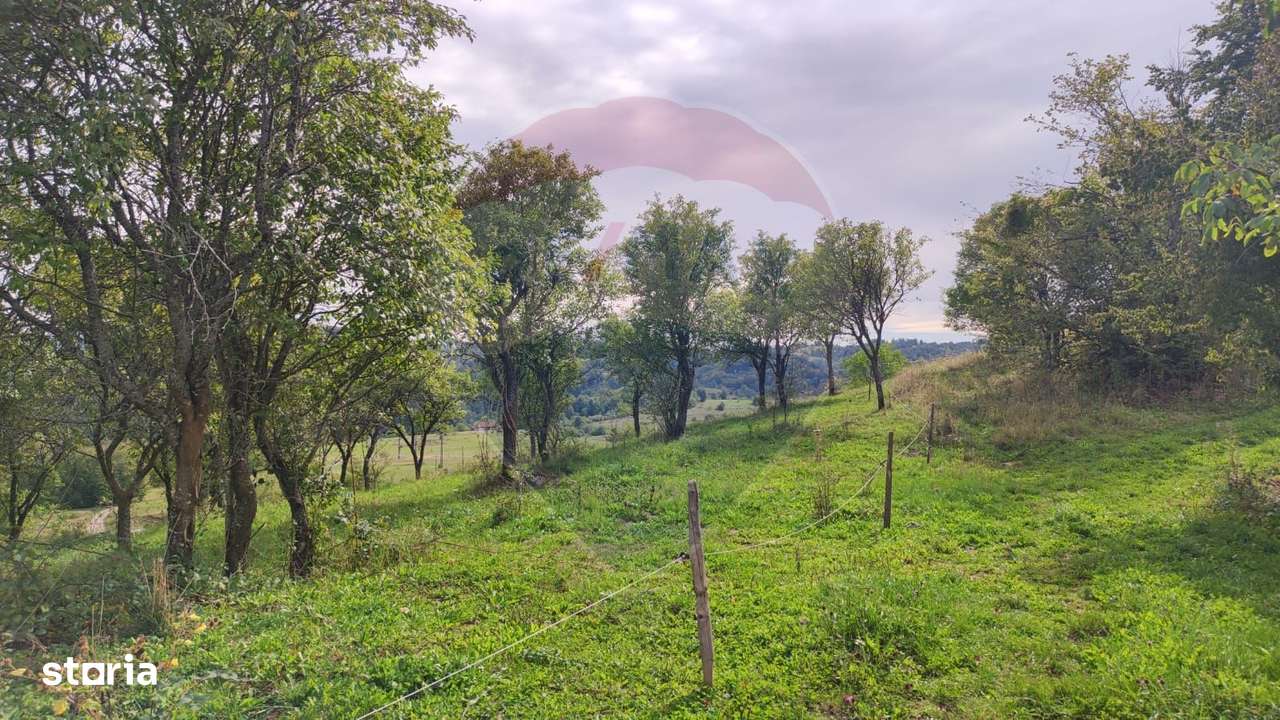 Teren constructii si faneata/livada 3082 mp Damis Bratca drum DJ 764D - Imagine principală: 4/20