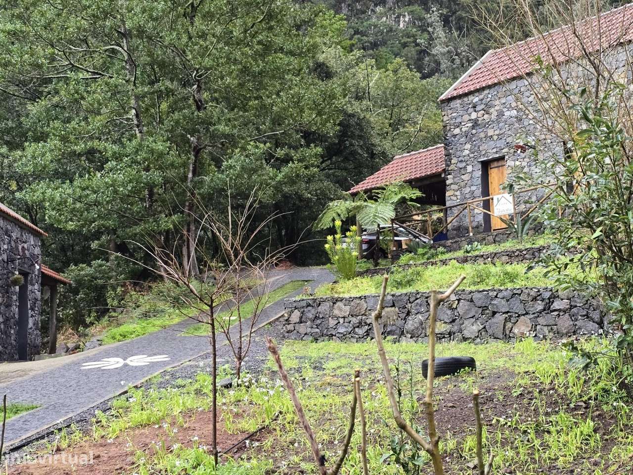 LOTE 1581M2 COM 3 PALHEIROS - Grande imagem: 3/15