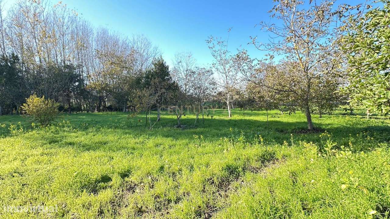 Casa para Recuperar em Oiã, Oliveira do Bairro-9