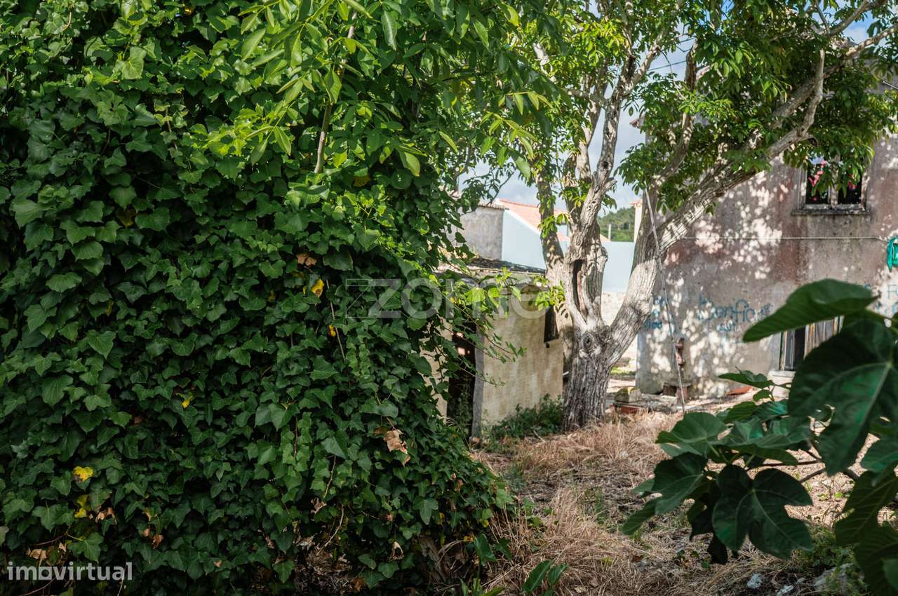 Lote Urbano, 5 fogos existentes _ ruínas.-31
