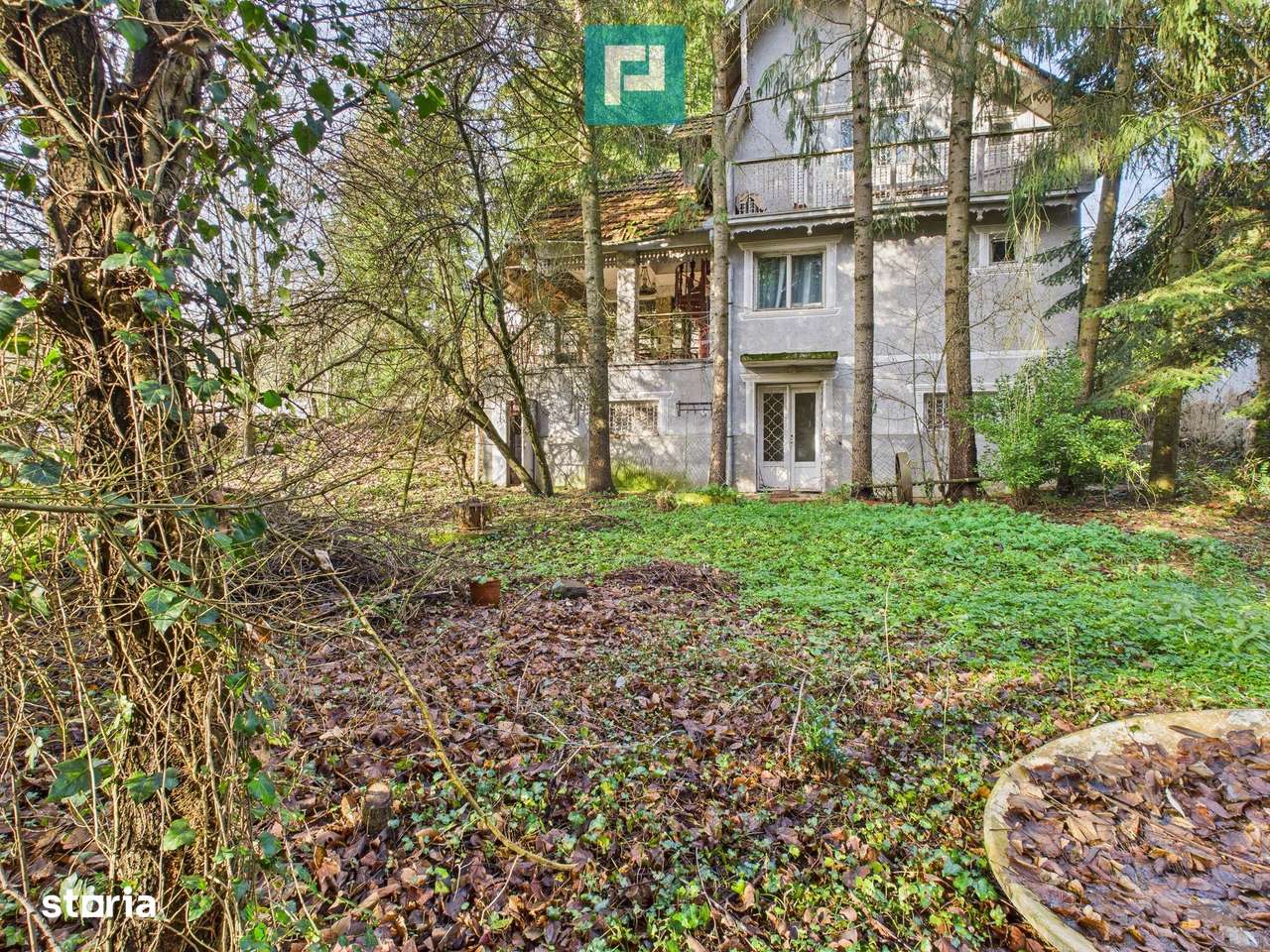 Casă P+E+M cu teren 8163 mp – Roşia Nouă (Petriş) - Imagine principală: 3/20