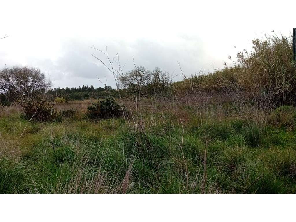 Terreno rústico com Furo de Água | Infraestruturas | Associação de ...-11