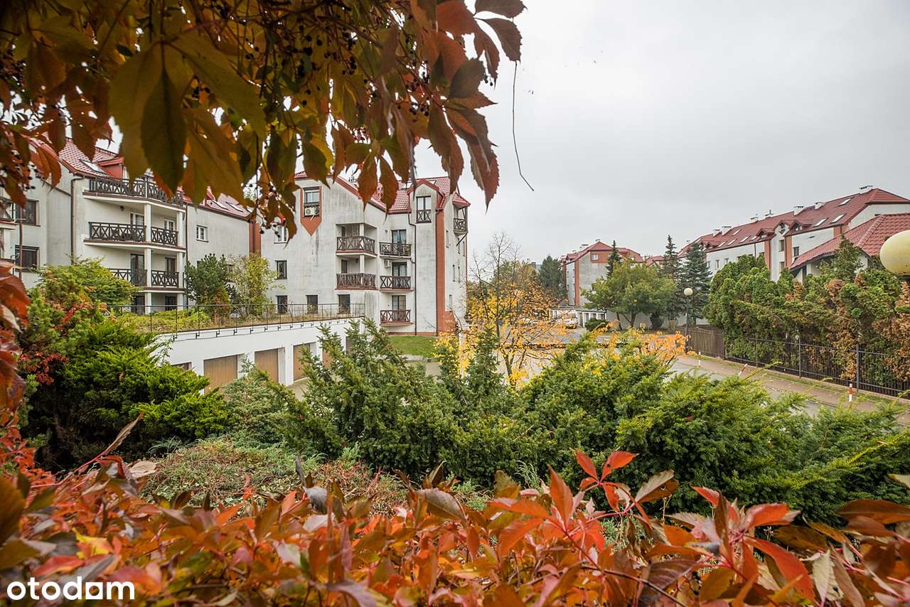 Grunty uregulowane / KW / prywatność / taras / 0% prowizji / zieleń-7