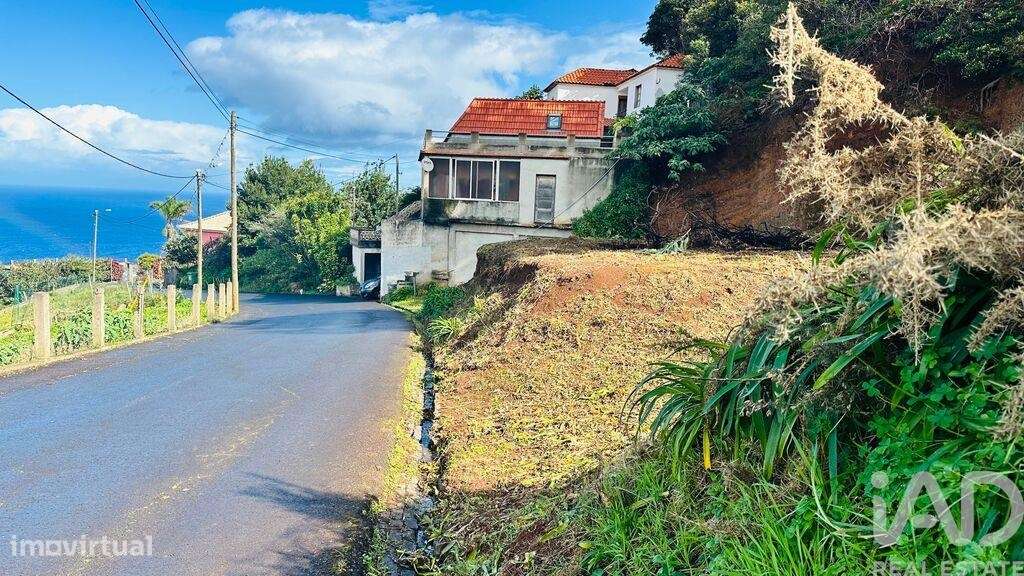Terreno em São Jorge de 750,00 m2 - Grande imagem: 4/18
