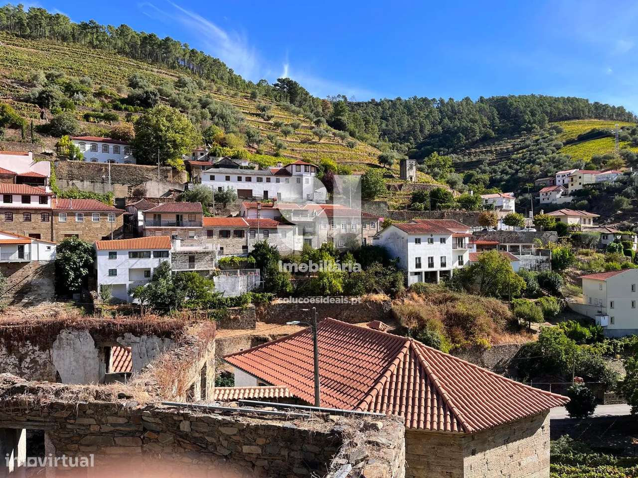 Terreno em Sabrosa - Grande imagem: 4/19