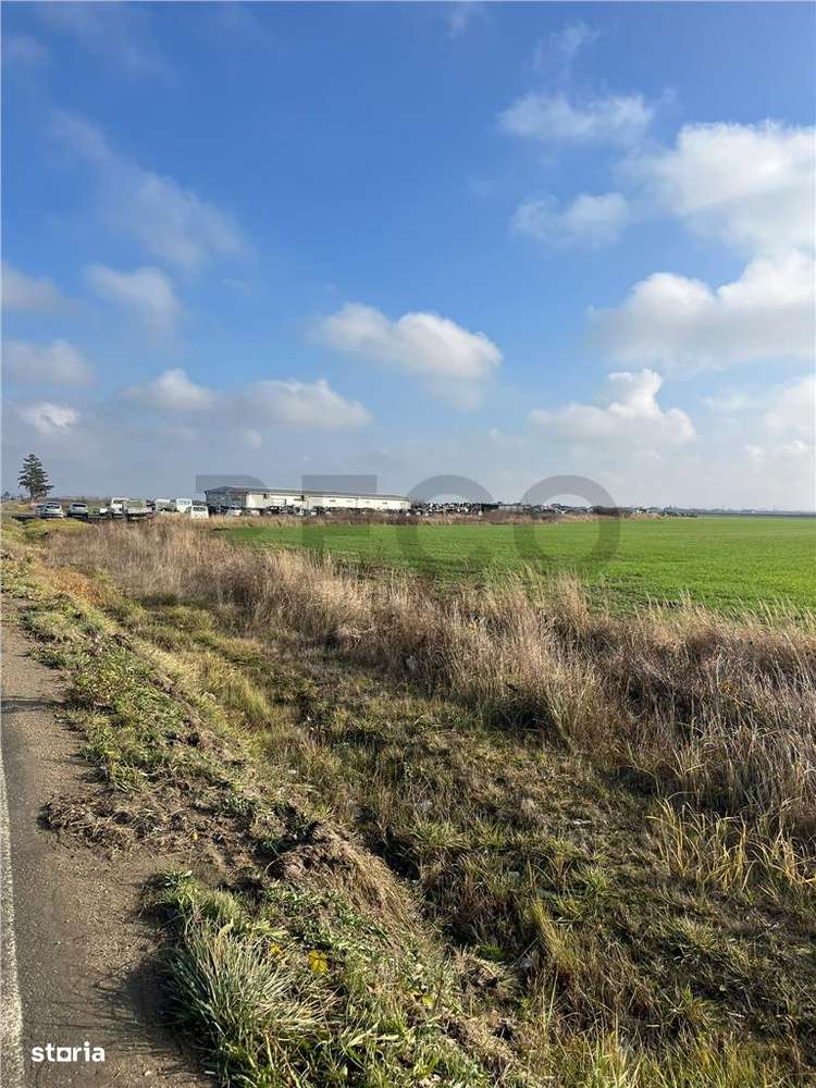 RECO Teren extravilan 11509 mp cu front la E60 -Sacadat - Imagine principală: 2/5