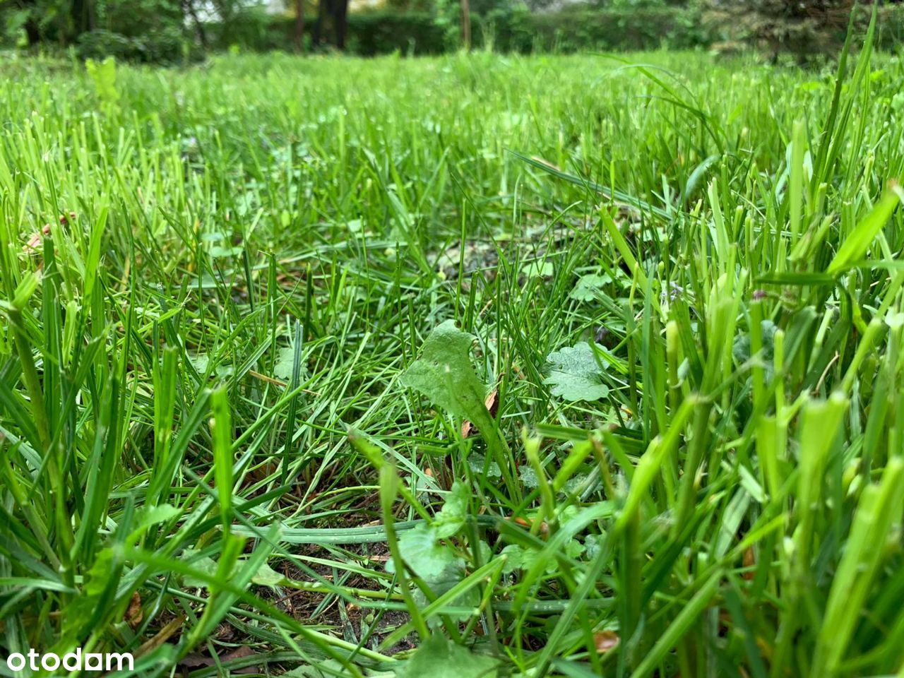 Sprzedam piękną działkę budowlaną 1500m