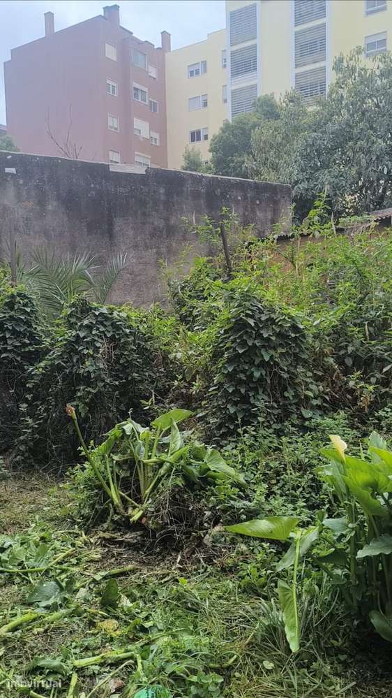 Invista no Seu Projeto de Sonho, a 10min.de Lisboa-7