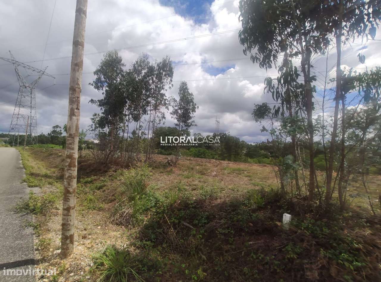 Terreno para construção de Armazéns | Moradias | Águeda - Grande imagem: 3/10