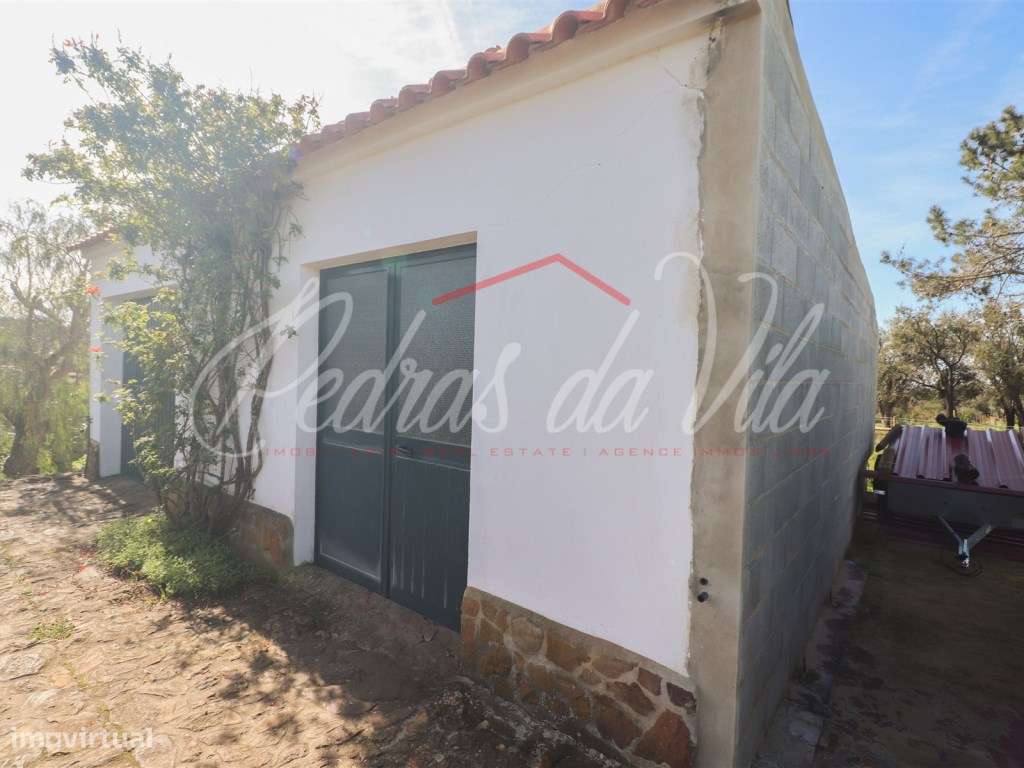 Quinta com 6,5ha em Vale Juncal - São Teotónio-31