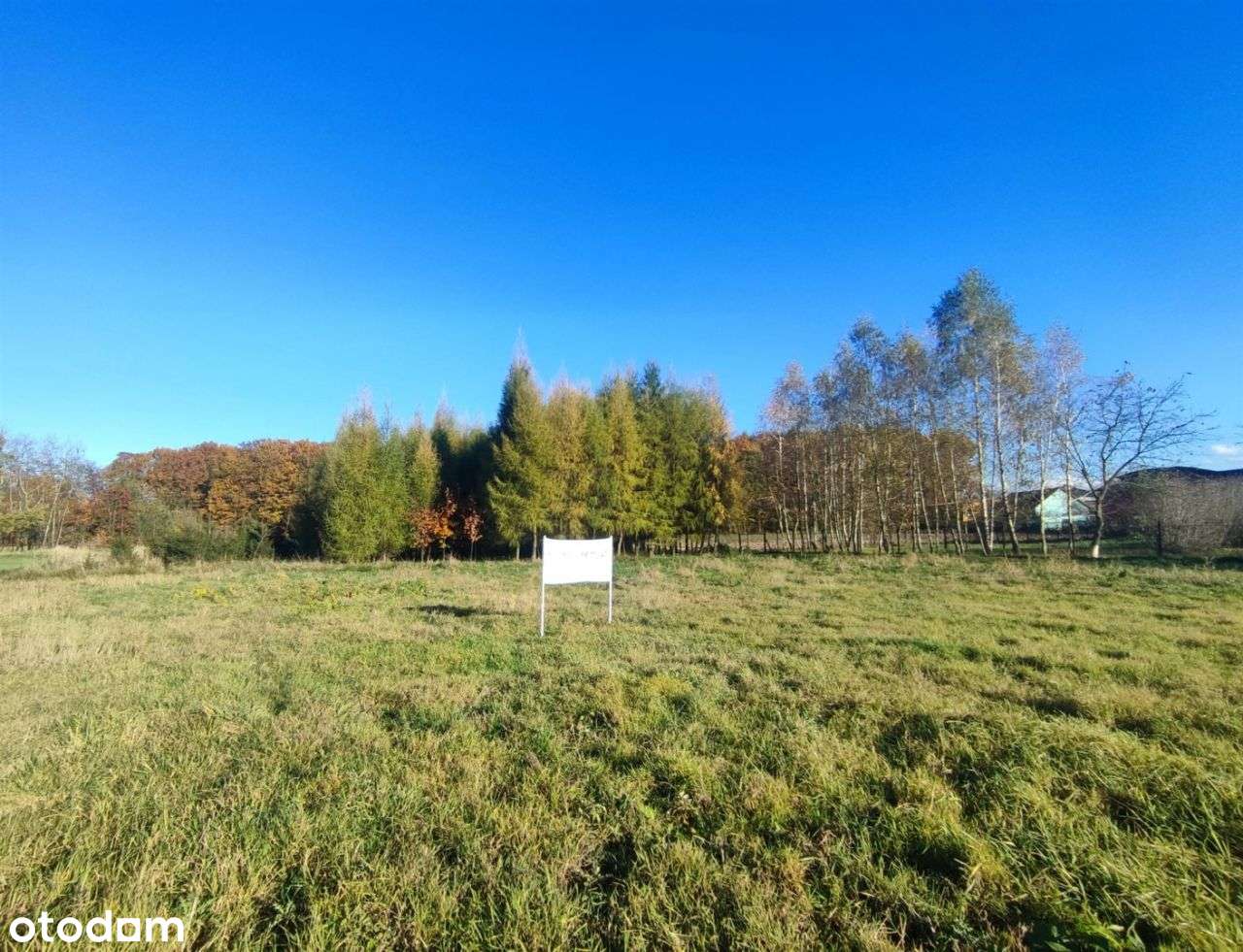 Działka budowlana pod lasem, Jawiszowice-6