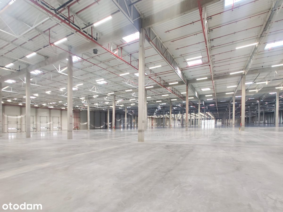 Do wynajęcia magazyn 46.600m2 Stryków