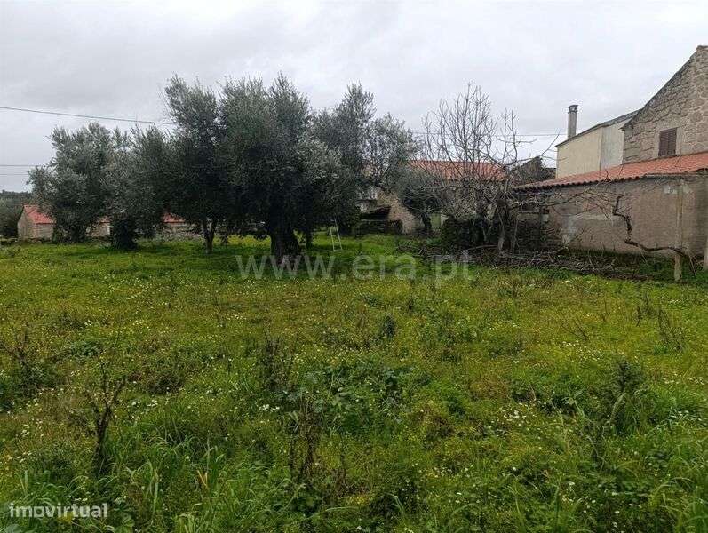 Terreno / Fundão, Martianas - Grande imagem: 5/20