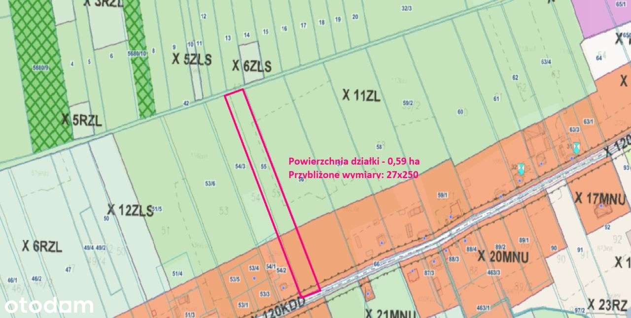 Malownicza działka budowlana z lasem na sprzedaż M - Pełny obrazek: 4/10